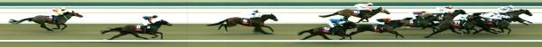 Photo finish