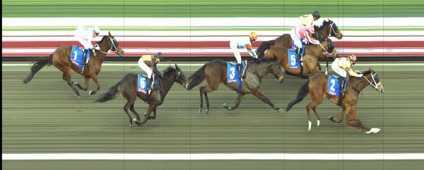 Photo finish