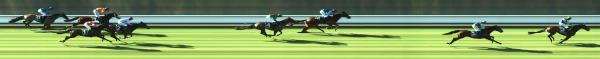 Photo finish