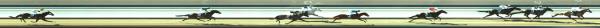 Photo finish