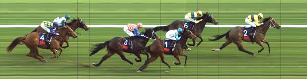 Photo finish