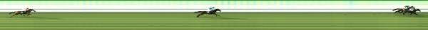 Photo finish