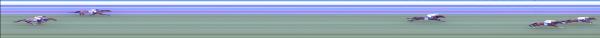 Photo finish