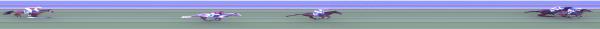 Photo finish