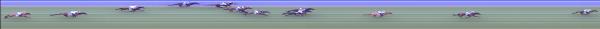 Photo finish