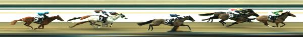 Photo finish