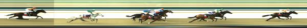 Photo finish