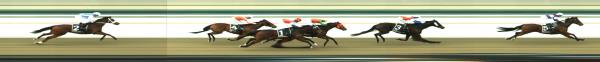 Photo finish