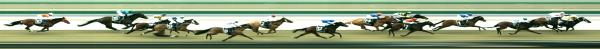 Photo finish