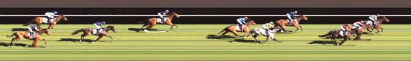 Photo finish