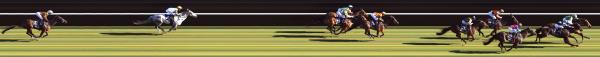 Photo finish