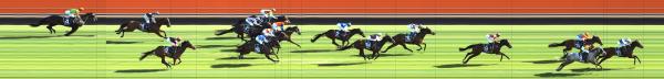 Photo finish