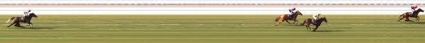Photo finish
