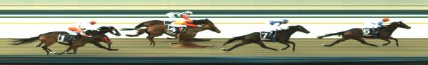 Photo finish