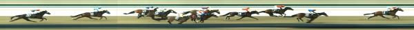 Photo finish