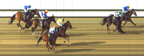 Photo finish