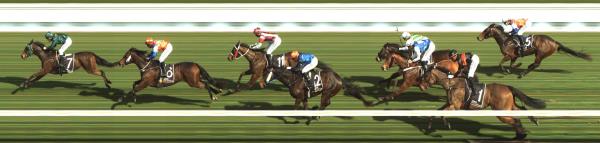 Photo finish