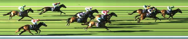Photo finish
