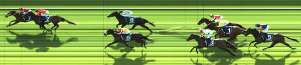 Photo finish