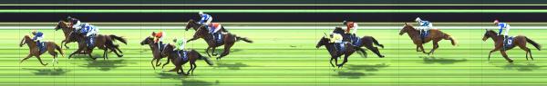 Photo finish