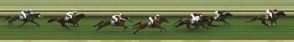 Photo finish