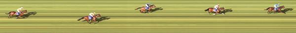 Photo finish