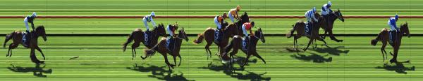 Photo finish