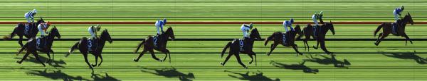 Photo finish