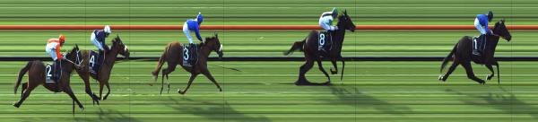 Photo finish