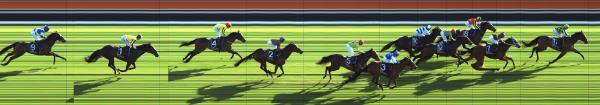 Photo finish