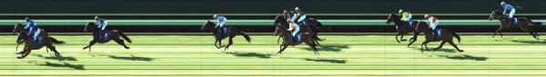 Photo finish