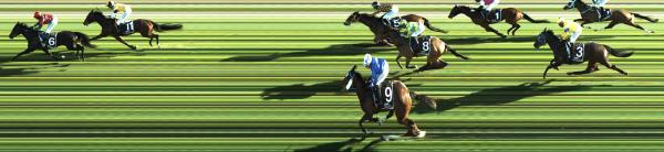 Photo finish