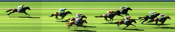 Photo finish