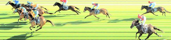 Photo finish