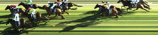 Photo finish