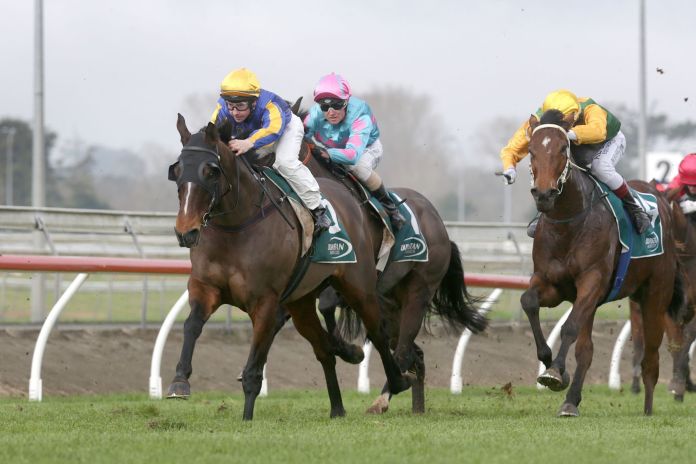Callum winning his first race aboard Diogenes at Pukekohe Park. Photo: Trish Dunell 