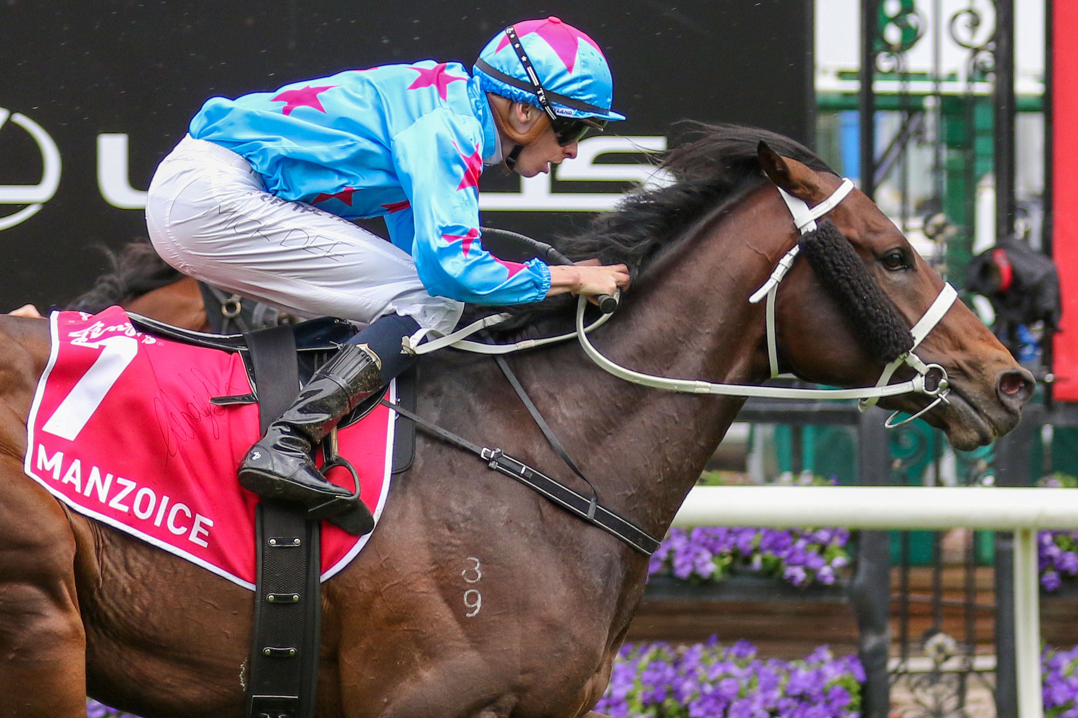 Breeder’s Choice reaps Derby reward