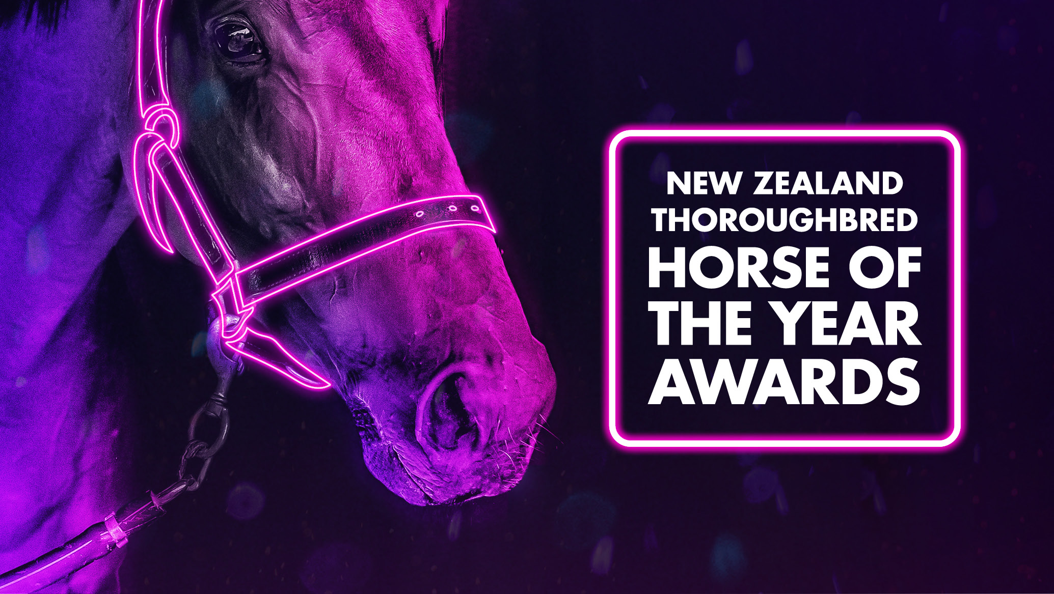 Horse of the Year Awards to go virtual