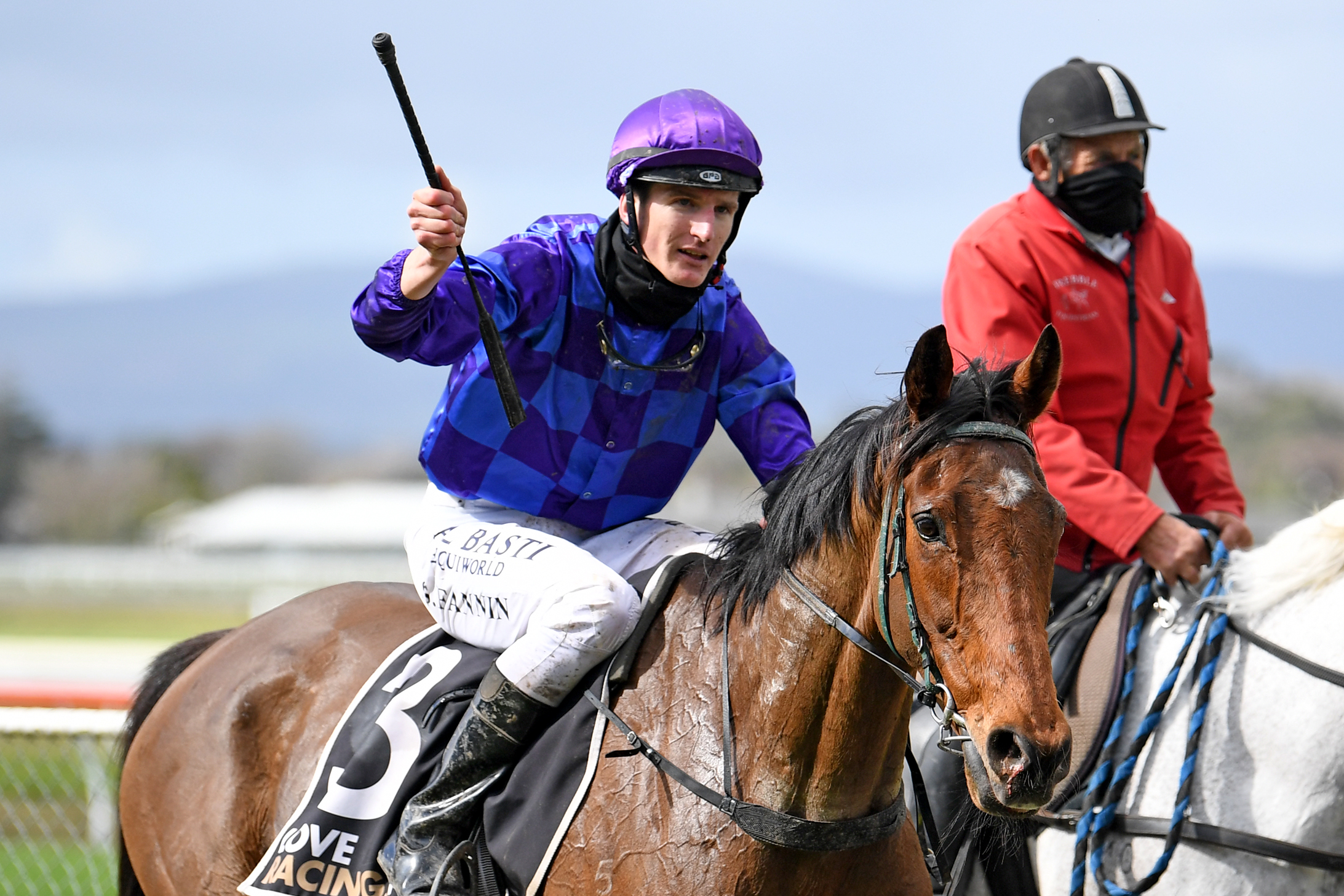 Shaun Fannin brings Game Percy back to scale at Awapuni after a gallant win in the LJ Hooker Manawatu Steeplechase (4400m). Photo credit: Race Images