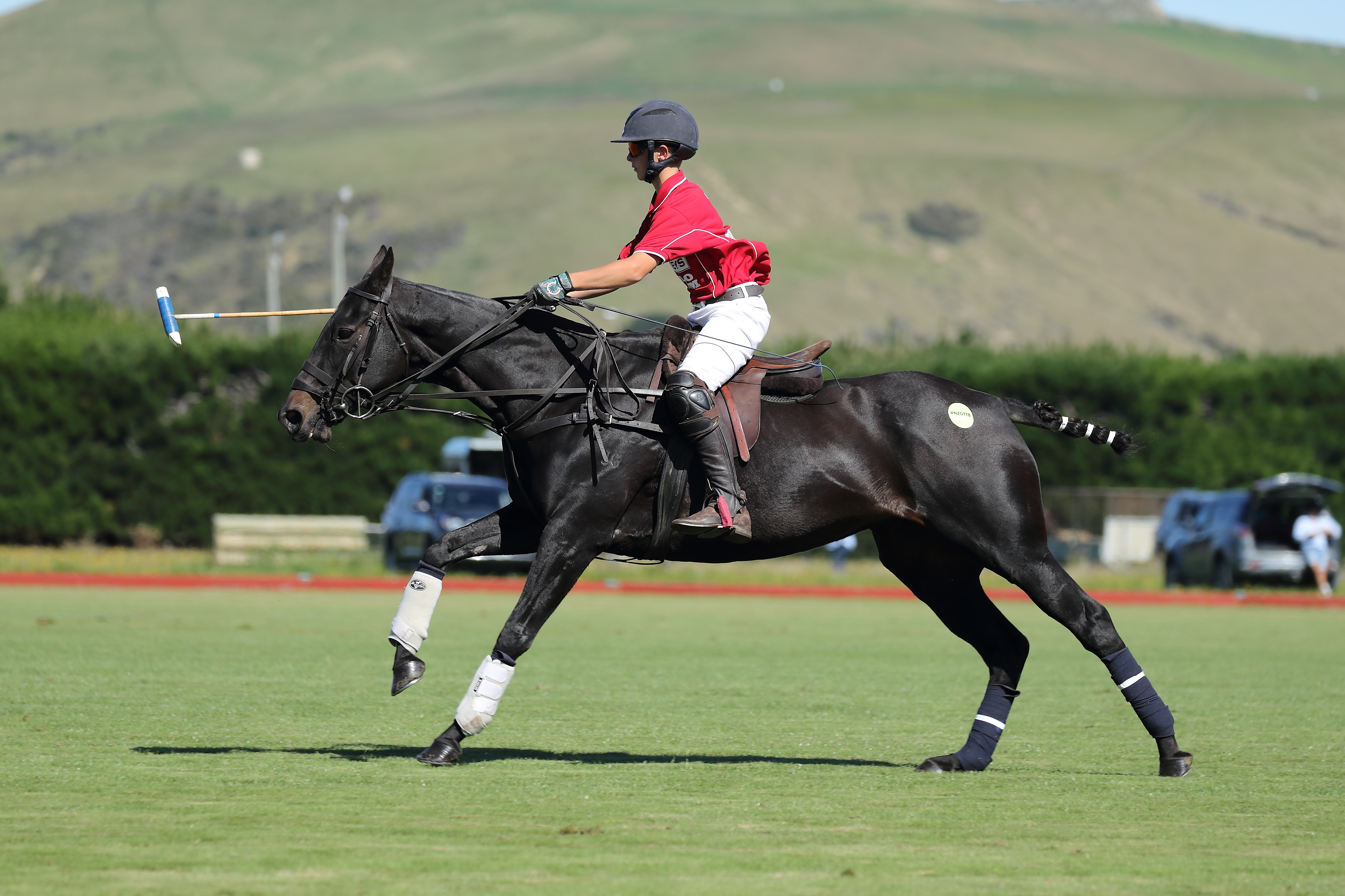 James and Stella in action on the polo field.