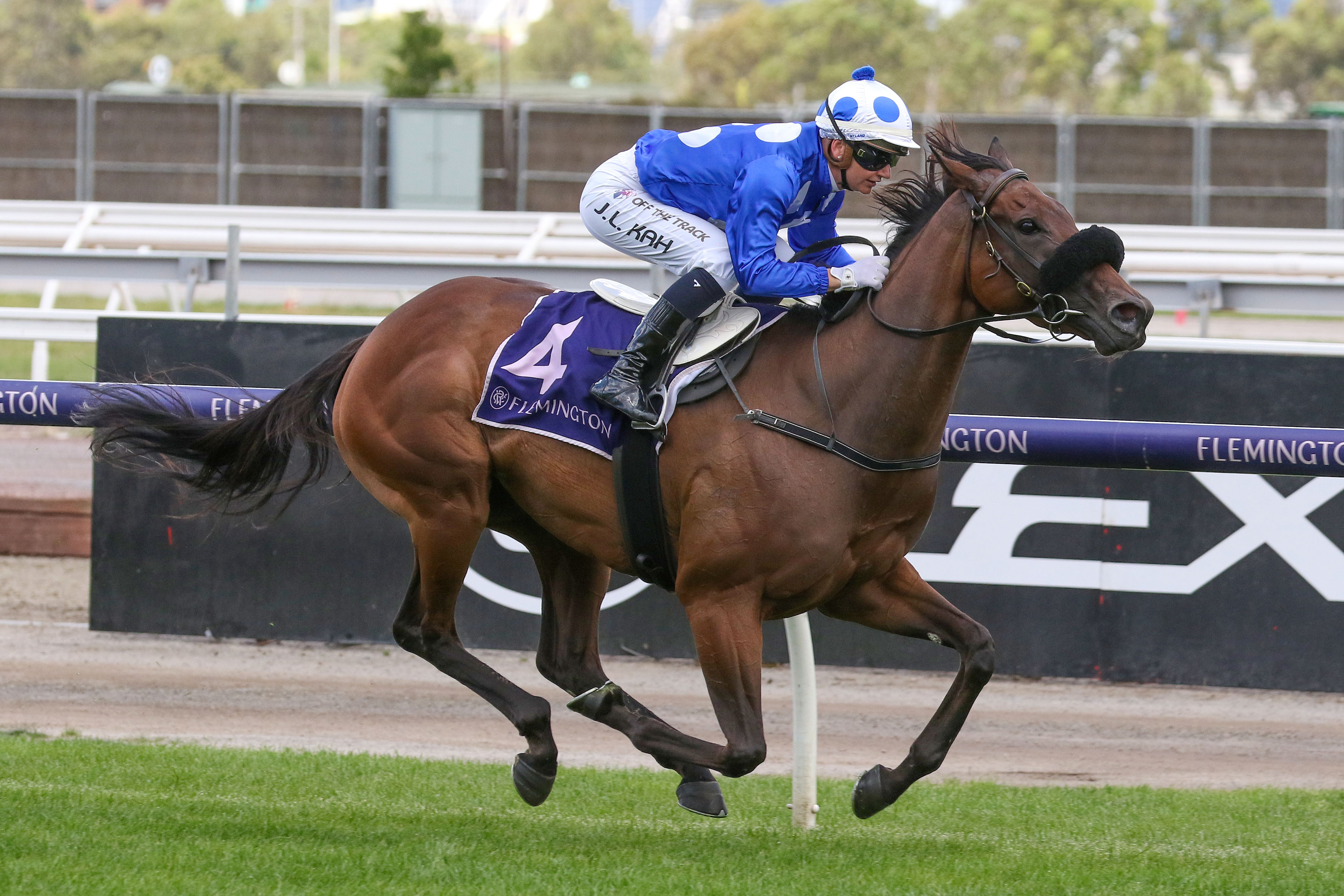 Stakes options for Wrote To Arataki