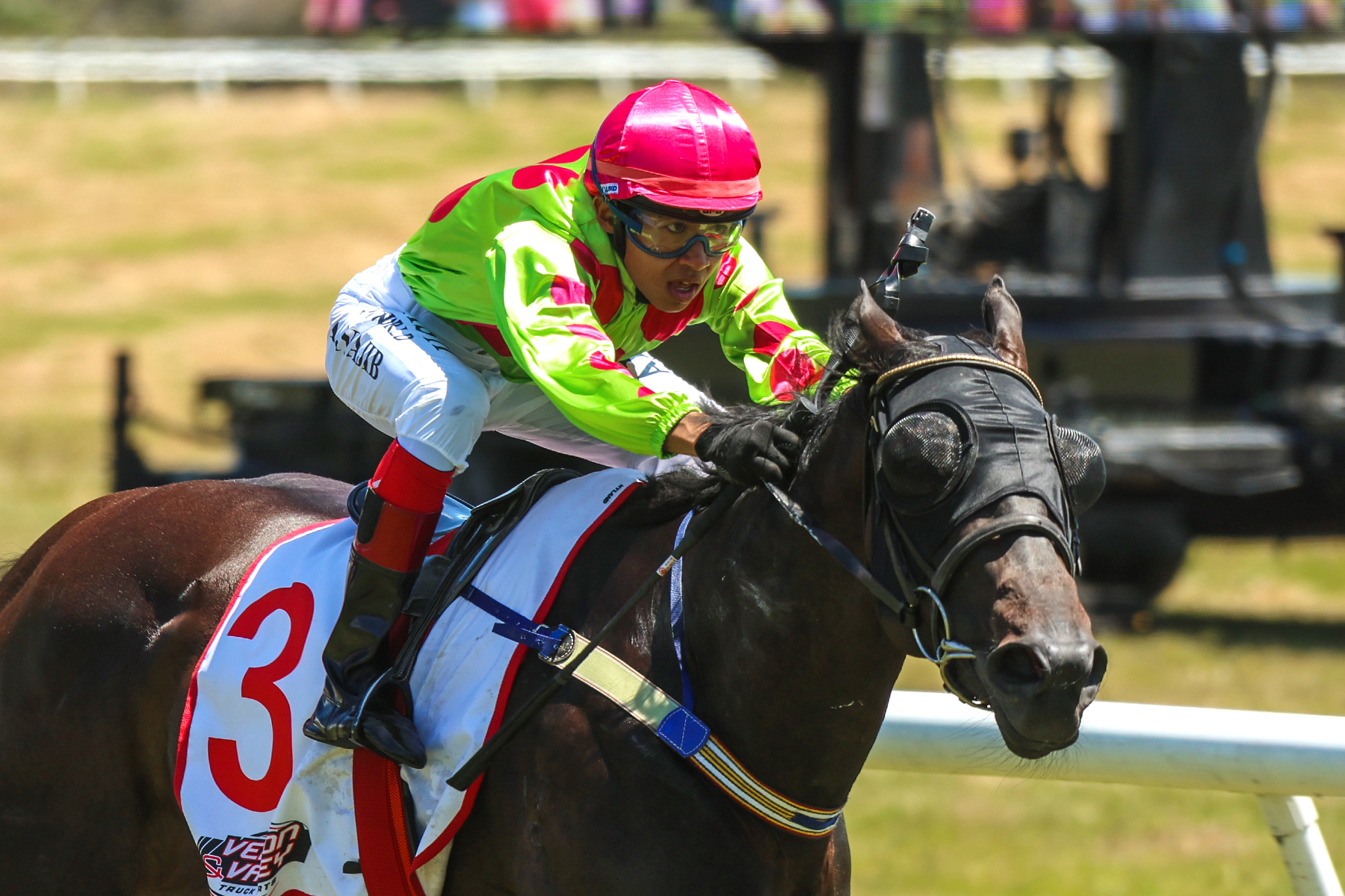 Third Decree heads big day at Kumara for Pitmans