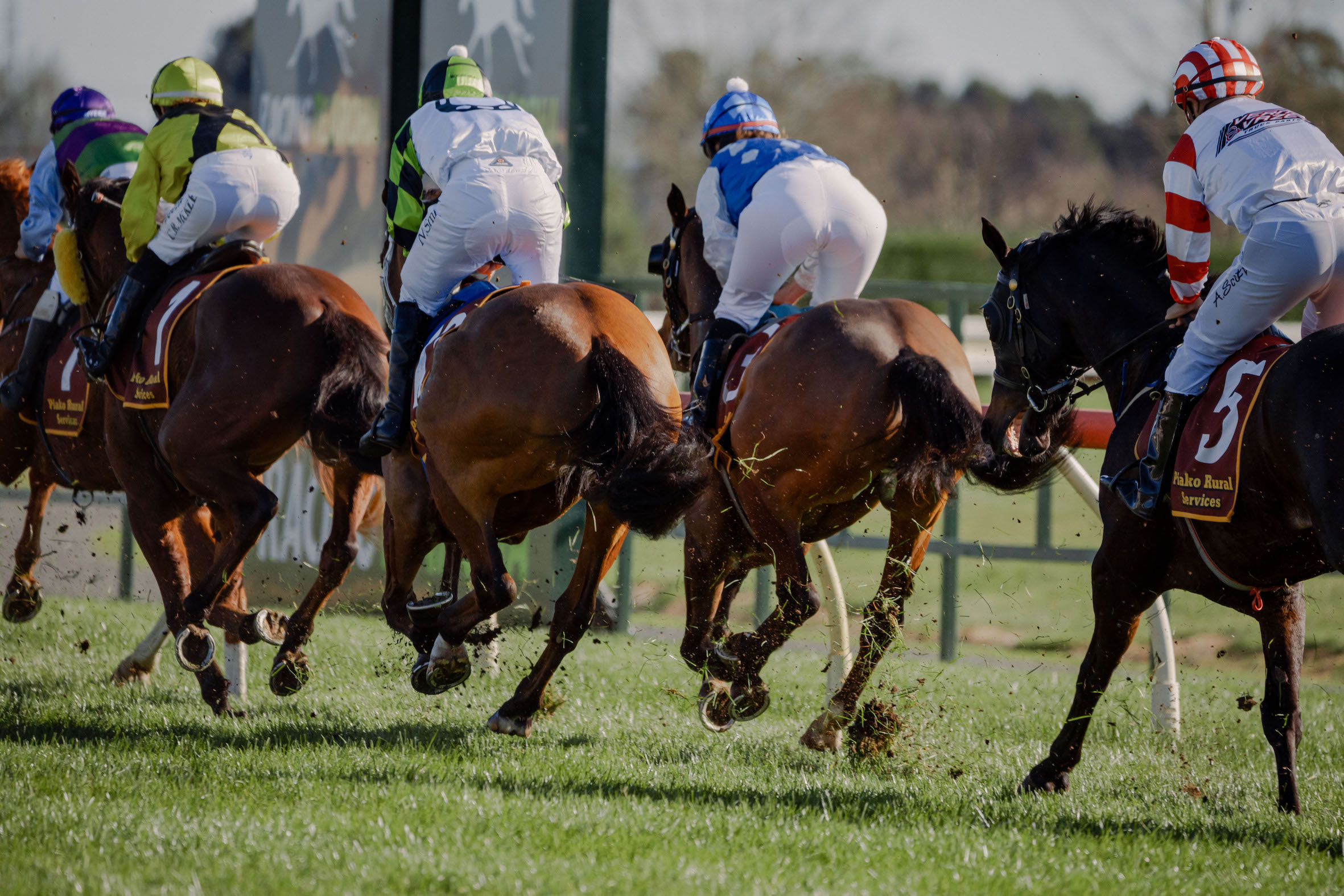 Te Aroha complete return to racing protocols