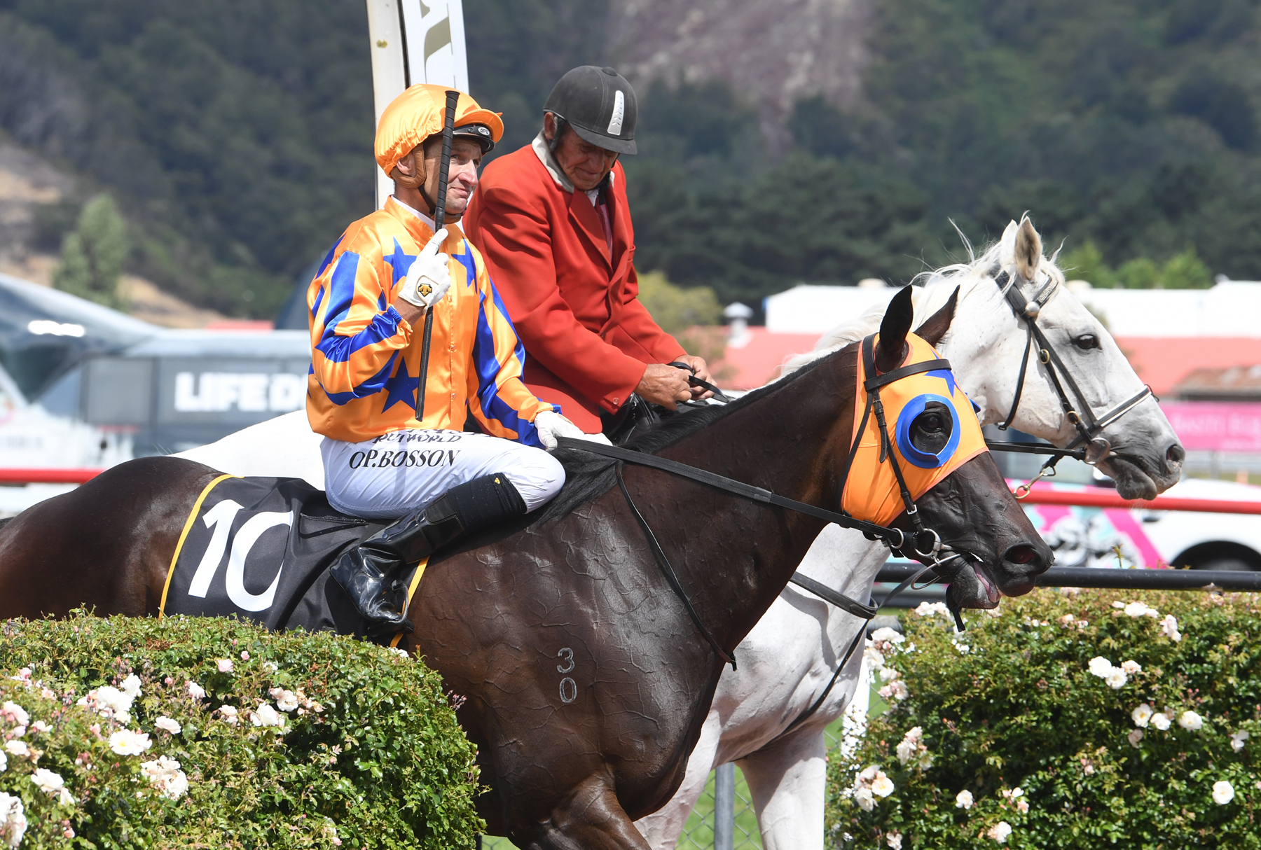 Te Akau launches another Legends Day charge