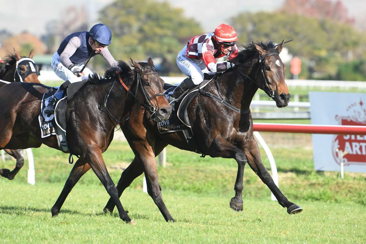 Gohugo to resume at Taupo