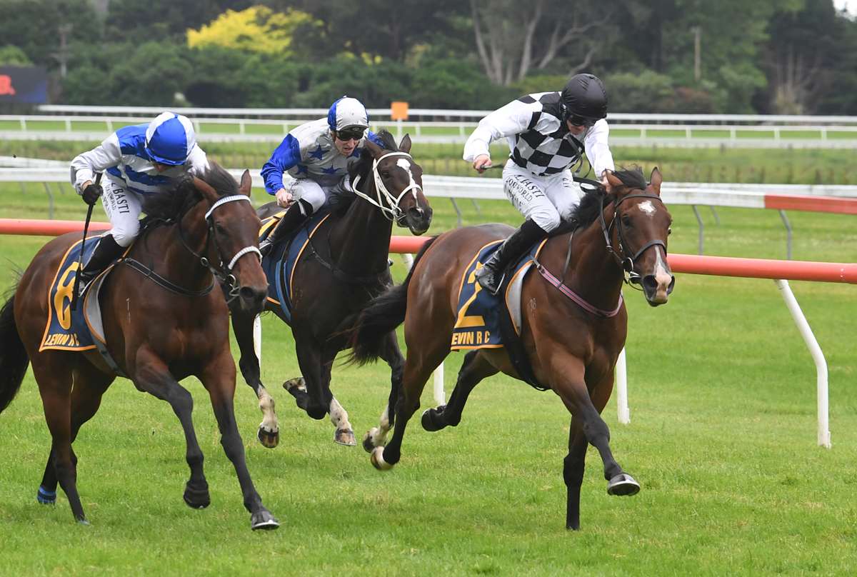 NZB Kiwi the contingency plan for Guineas hope Tuxedo