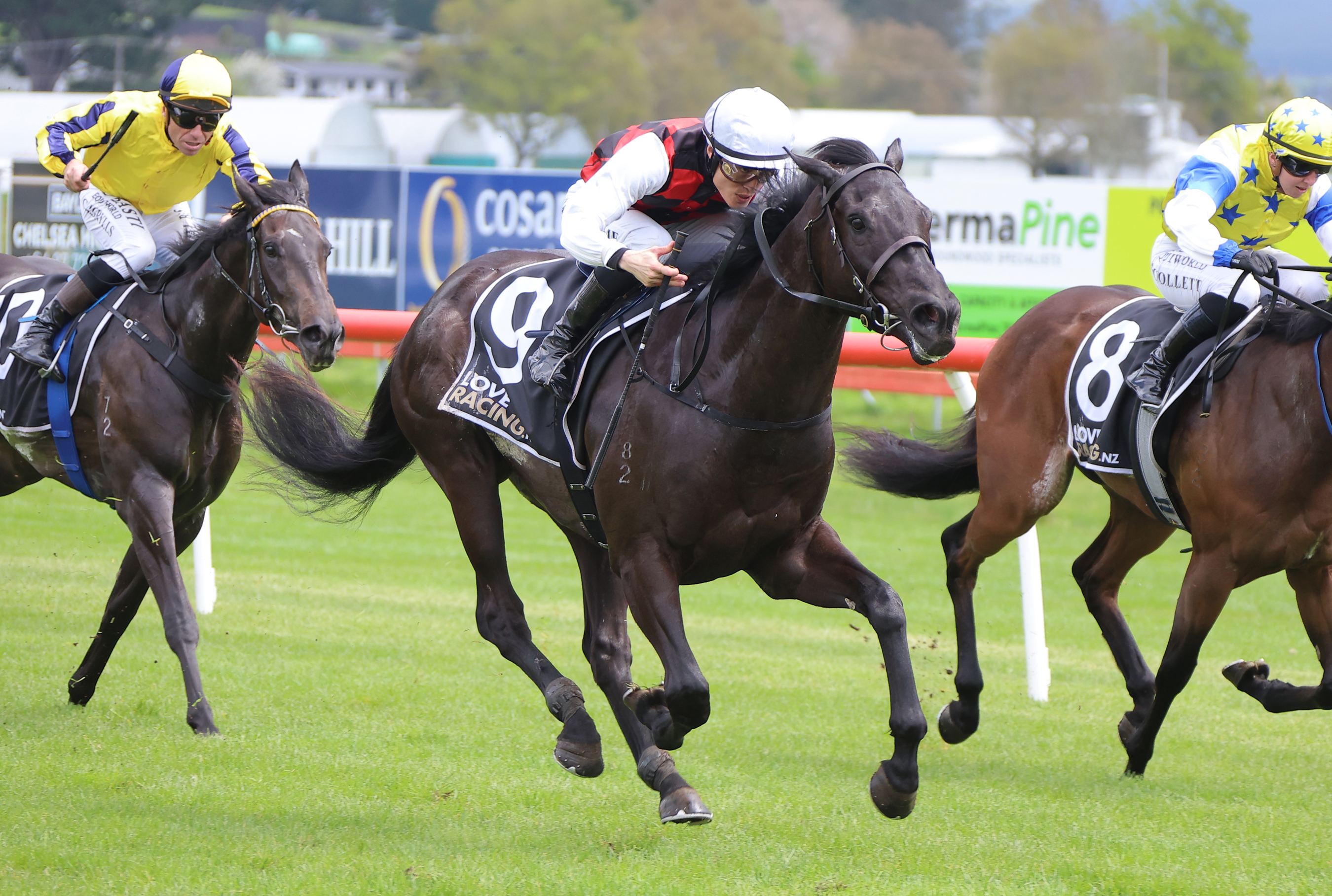 Alex Reeve Derby Alexanders eye potential Derby path with exciting debut winner
