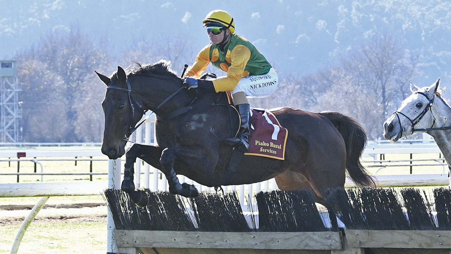 Grand National plans for Liefting pair