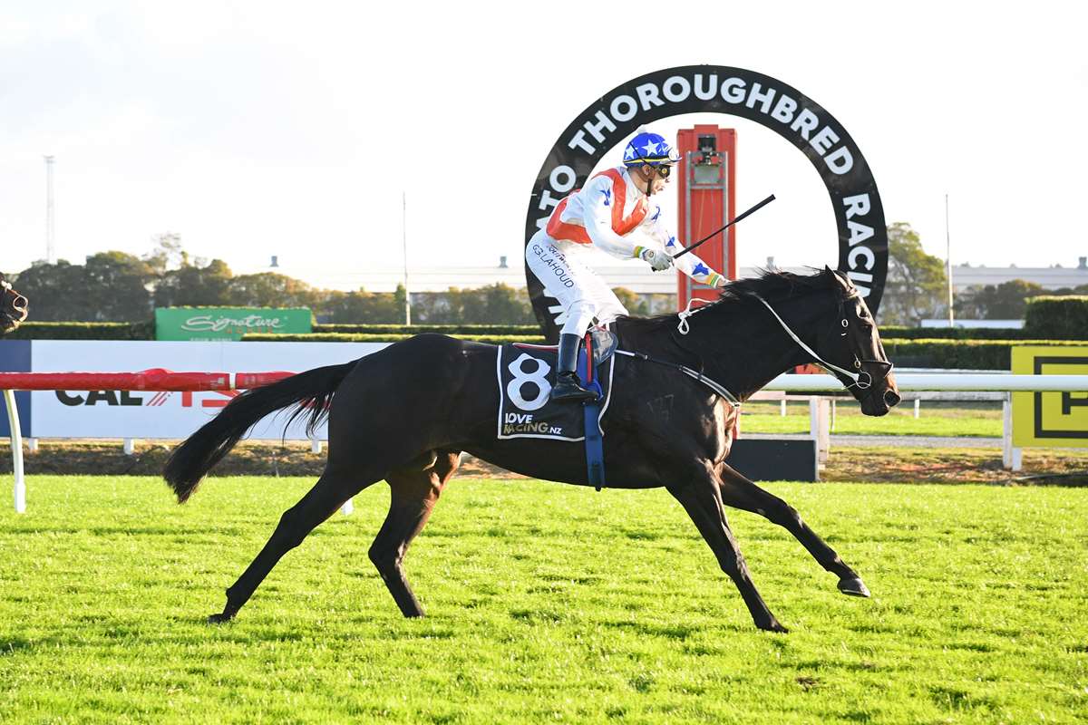 Dream start for injury-free Lahoud