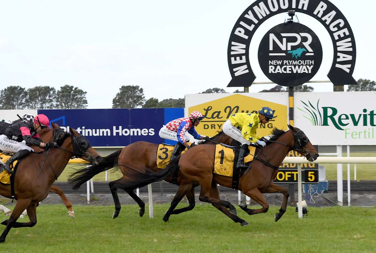 Home track advantage for Urenui in $100,000 feature